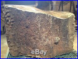 100lb AZ Contoured Polished Rare Arizona Petrified Woodworthia Complete Log