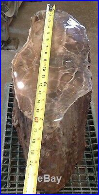 100lb AZ Contoured Polished Rare Arizona Petrified Woodworthia Complete Log