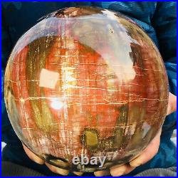 10260g Large Natural Petrified Wood Fossil Crystal Geode Sphere Ball Healing