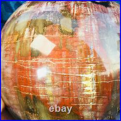 10260g Large Natural Petrified Wood Fossil Crystal Geode Sphere Ball Healing