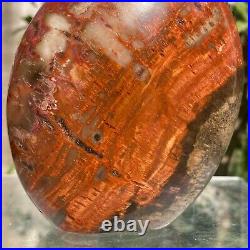 1050g Natural Fossil Petrified Wood Polished Freeform Crystal Mineral Healing