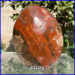 1050g Natural Fossil Petrified Wood Polished Freeform Crystal Mineral Healing