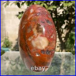 1050g Natural Fossil Petrified Wood Polished Freeform Crystal Mineral Healing