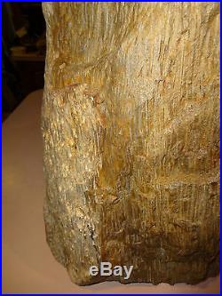 105 pound Petrified Palm Tree Stump Log from East Texas over 16 x 13 inches