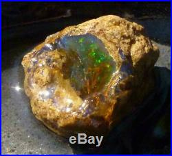 106 carats Virgin Valley Precious Opal Petrified Wood Nevada 36mm