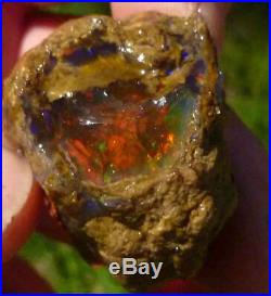 106 carats Virgin Valley Precious Opal Petrified Wood Nevada 36mm