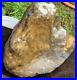 10LB_Petrified_Agatized_Wood_Tennessee_Fossil_Rough_RARE_01_xqkt