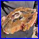10_2LB_Rare_Natural_petrified_wood_rough_Wood_fossil_mineral_specimen_healing_01_itle