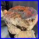 10_3lb_Rare_Natural_petrified_wood_rough_Wood_fossil_mineral_specimen_healing_01_bon
