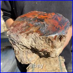 10.3lb Rare Natural petrified wood rough Wood fossil mineral specimen healing 10.3lb Rare Natural petrified wood rough Wood fossil mineral specimen healing
