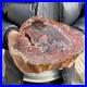 10_3lb_Rare_Natural_petrified_wood_rough_Wood_fossil_mineral_specimen_healing_01_texv