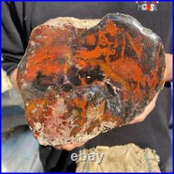 10.3lb Rare Natural petrified wood rough Wood fossil mineral specimen healing 10.3lb Rare Natural petrified wood rough Wood fossil mineral specimen healing