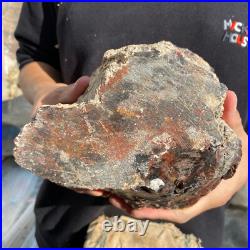 10.3lb Rare Natural petrified wood rough Wood fossil mineral specimen healing 10.3lb Rare Natural petrified wood rough Wood fossil mineral specimen healing