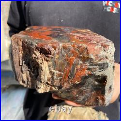 10.3lb Rare Natural petrified wood rough Wood fossil mineral specimen healing 10.3lb Rare Natural petrified wood rough Wood fossil mineral specimen healing