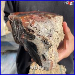 10.3lb Rare Natural petrified wood rough Wood fossil mineral specimen healing 10.3lb Rare Natural petrified wood rough Wood fossil mineral specimen healing