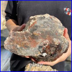 10.3lb Rare Natural petrified wood rough Wood fossil mineral specimen healing 10.3lb Rare Natural petrified wood rough Wood fossil mineral specimen healing