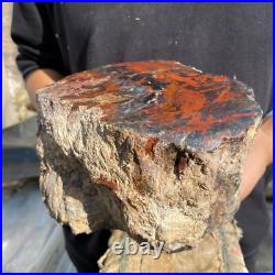 10.3lb Rare Natural petrified wood rough Wood fossil mineral specimen healing 10.3lb Rare Natural petrified wood rough Wood fossil mineral specimen healing