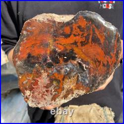 10.3lb Rare Natural petrified wood rough Wood fossil mineral specimen healing 10.3lb Rare Natural petrified wood rough Wood fossil mineral specimen healing