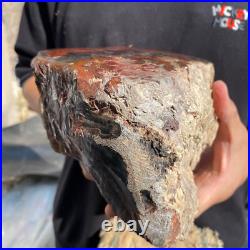 10.3lb Rare Natural petrified wood rough Wood fossil mineral specimen healing 10.3lb Rare Natural petrified wood rough Wood fossil mineral specimen healing