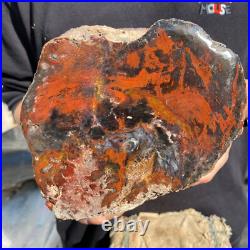 10.3lb Rare Natural petrified wood rough Wood fossil mineral specimen healing 10.3lb Rare Natural petrified wood rough Wood fossil mineral specimen healing