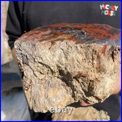 10.3lb Rare Natural petrified wood rough Wood fossil mineral specimen healing 10.3lb Rare Natural petrified wood rough Wood fossil mineral specimen healing