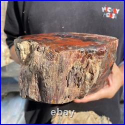 10.3lb Rare Natural petrified wood rough Wood fossil mineral specimen healing 10.3lb Rare Natural petrified wood rough Wood fossil mineral specimen healing
