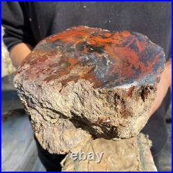 10.3lb Rare Natural petrified wood rough Wood fossil mineral specimen healing 10.3lb Rare Natural petrified wood rough Wood fossil mineral specimen healing