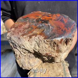 10.3lb Rare Natural petrified wood rough Wood fossil mineral specimen healing 10.3lb Rare Natural petrified wood rough Wood fossil mineral specimen healing