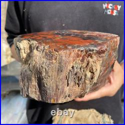 10.3lb Rare Natural petrified wood rough Wood fossil mineral specimen healing 10.3lb Rare Natural petrified wood rough Wood fossil mineral specimen healing