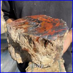 10.3lb Rare Natural petrified wood rough Wood fossil mineral specimen healing 10.3lb Rare Natural petrified wood rough Wood fossil mineral specimen healing