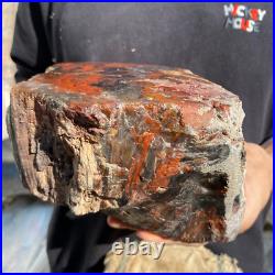 10.3lb Rare Natural petrified wood rough Wood fossil mineral specimen healing 10.3lb Rare Natural petrified wood rough Wood fossil mineral specimen healing