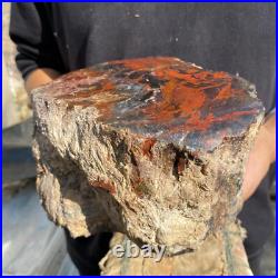 10.3lb Rare Natural petrified wood rough Wood fossil mineral specimen healing 10.3lb Rare Natural petrified wood rough Wood fossil mineral specimen healing