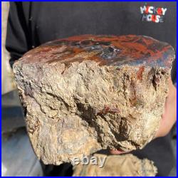 10.3lb Rare Natural petrified wood rough Wood fossil mineral specimen healing 10.3lb Rare Natural petrified wood rough Wood fossil mineral specimen healing