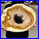 10_76LB_Large_Natural_Petrified_Wood_Crystal_Fossil_Slice_Shape_Specimen_Healing_01_wy