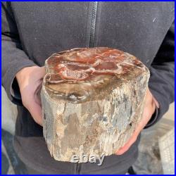 10.7LB Natural petrified wood rough Wood fossil mineral specimen healing energy