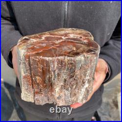 10.7lb Rare Natural petrified wood rough Wood fossil mineral specimen healing 10.7lb Rare Natural petrified wood rough Wood fossil mineral specimen healing