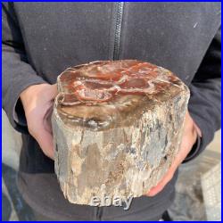 10.7lb Rare Natural petrified wood rough Wood fossil mineral specimen healing 10.7lb Rare Natural petrified wood rough Wood fossil mineral specimen healing