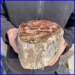 10.7lb Rare Natural petrified wood rough Wood fossil mineral specimen healing 10.7lb Rare Natural petrified wood rough Wood fossil mineral specimen healing