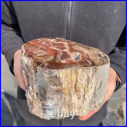 10.7lb Rare Natural petrified wood rough Wood fossil mineral specimen healing 10.7lb Rare Natural petrified wood rough Wood fossil mineral specimen healing