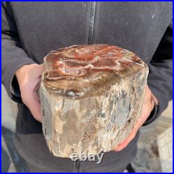 10.7lb Rare Natural petrified wood rough Wood fossil mineral specimen healing 10.7lb Rare Natural petrified wood rough Wood fossil mineral specimen healing