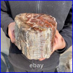 10.7lb Rare Natural petrified wood rough Wood fossil mineral specimen healing 10.7lb Rare Natural petrified wood rough Wood fossil mineral specimen healing