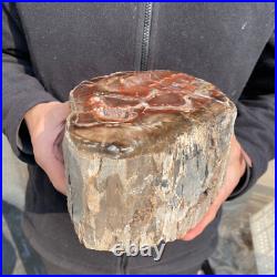 10.7lb Rare Natural petrified wood rough Wood fossil mineral specimen healing 10.7lb Rare Natural petrified wood rough Wood fossil mineral specimen healing
