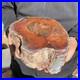 10_8LB_Natural_petrified_wood_rough_Wood_fossil_mineral_specimen_healing_energy_01_ds