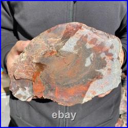 10.8LB Natural petrified wood rough Wood fossil mineral specimen healing energy 10.8LB Natural petrified wood rough Wood fossil mineral specimen healing energy