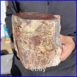 10.8LB Natural petrified wood rough Wood fossil mineral specimen healing energy 10.8LB Natural petrified wood rough Wood fossil mineral specimen healing energy
