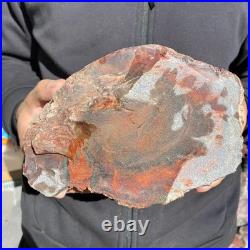 10.8LB Natural petrified wood rough Wood fossil mineral specimen healing energy 10.8LB Natural petrified wood rough Wood fossil mineral specimen healing energy