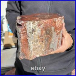 10.8LB Natural petrified wood rough Wood fossil mineral specimen healing energy 10.8LB Natural petrified wood rough Wood fossil mineral specimen healing energy