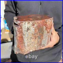 10.8LB Natural petrified wood rough Wood fossil mineral specimen healing energy 10.8LB Natural petrified wood rough Wood fossil mineral specimen healing energy