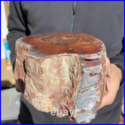 10.8LB Natural petrified wood rough Wood fossil mineral specimen healing energy 10.8LB Natural petrified wood rough Wood fossil mineral specimen healing energy