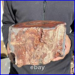 10.8LB Natural petrified wood rough Wood fossil mineral specimen healing energy 10.8LB Natural petrified wood rough Wood fossil mineral specimen healing energy